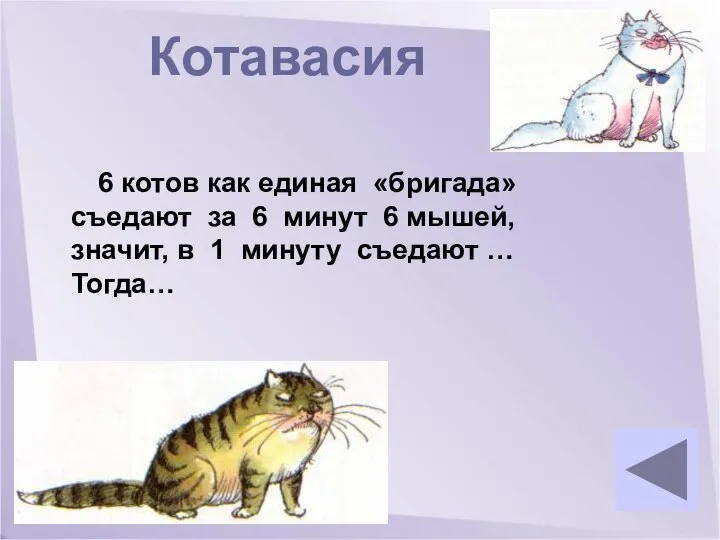 Котавасия 6 котов как единая «бригада» съедают за 6 минут 6