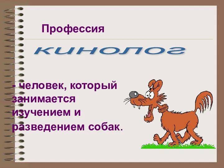 Профессия кинолог - человек, который занимается изучением и разведением собак.