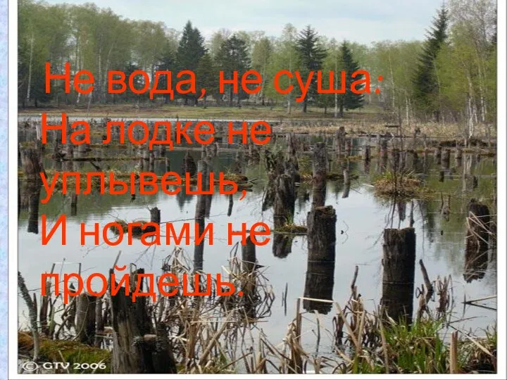 Не вода, не суша: На лодке не уплывешь, И ногами не пройдешь.