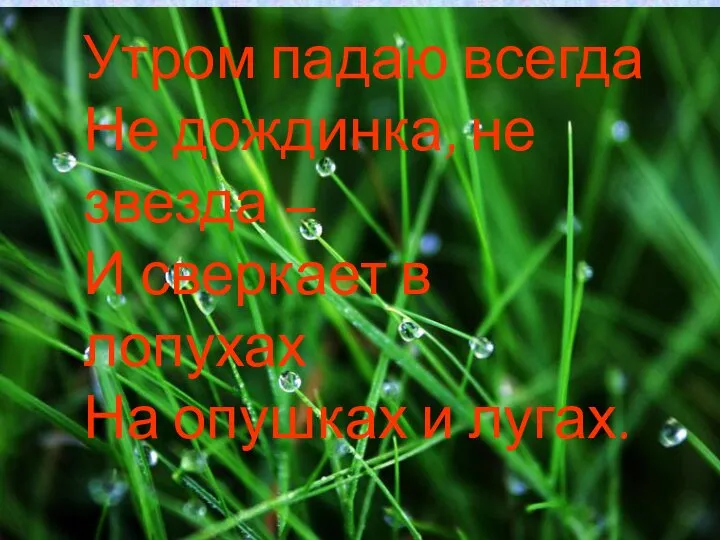 Утром падаю всегда Не дождинка, не звезда – И сверкает в лопухах На опушках и лугах.