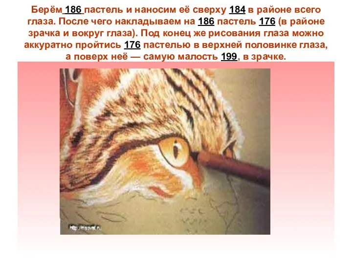 Берём 186 пастель и наносим её сверху 184 в районе всего