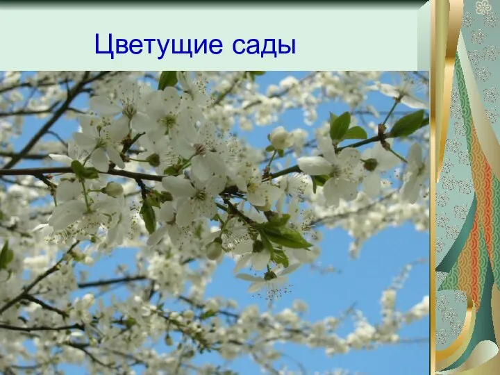 Цветущие сады