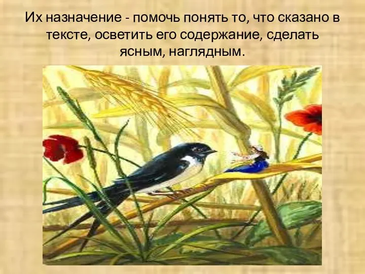 Их назначение - помочь понять то, что сказано в тексте, осветить его содержание, сделать ясным, наглядным.