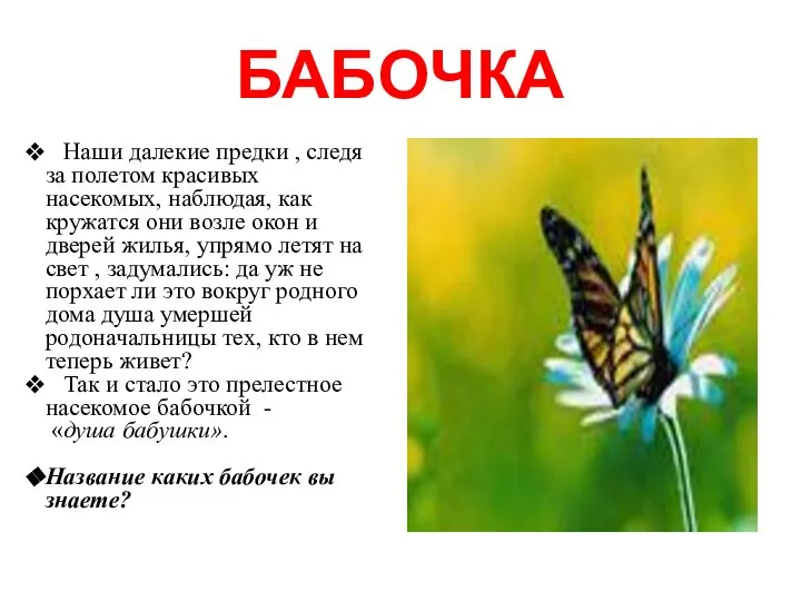 БАБОЧКА Наши далекие предки , следя за полетом красивых насекомых, наблюдая,