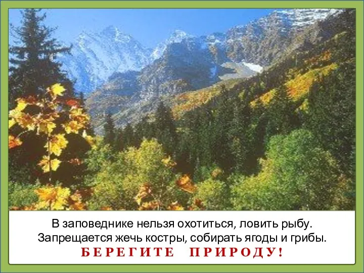 В заповеднике нельзя охотиться, ловить рыбу. Запрещается жечь костры, собирать ягоды