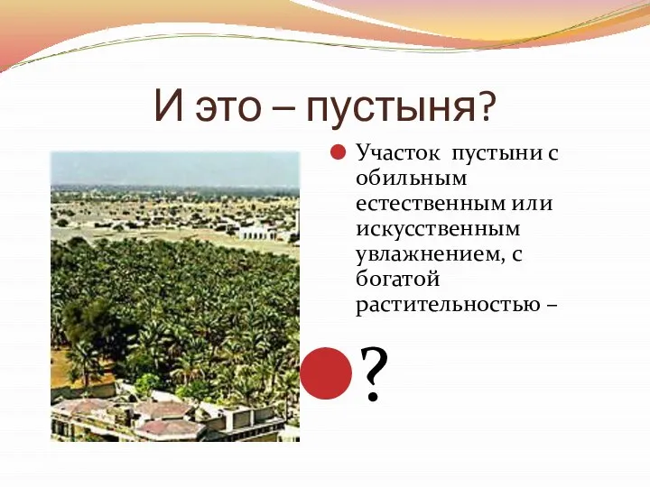 И это – пустыня? Участок пустыни с обильным естественным или искусственным