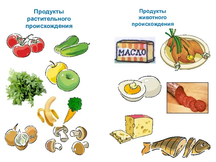 Продукты растительного происхождения Продукты животного происхождения