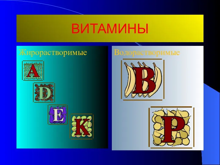 ВИТАМИНЫ Жирорастворимые Водорастворимые