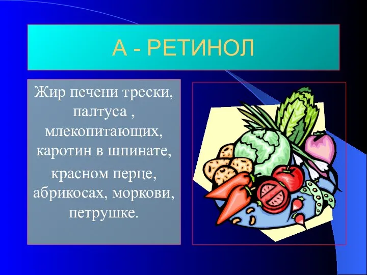 А - РЕТИНОЛ Жир печени трески, палтуса , млекопитающих, каротин в