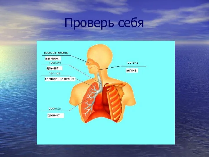 Проверь себя