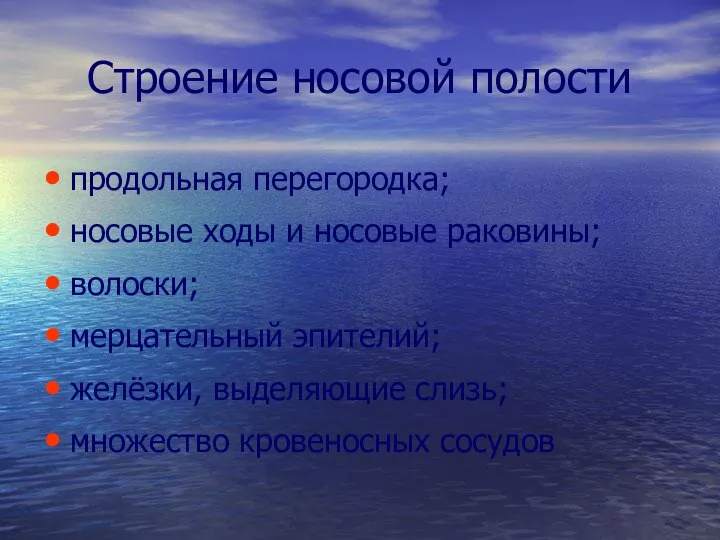 Строение носовой полости продольная перегородка; носовые ходы и носовые раковины; волоски;