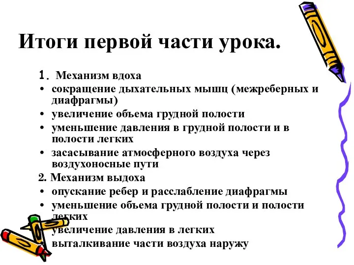 Итоги первой части урока. 1. Механизм вдоха сокращение дыхательных мышц (межреберных