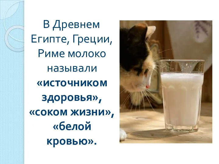 В Древнем Египте, Греции, Риме молоко называли «источником здоровья», «соком жизни», «белой кровью».