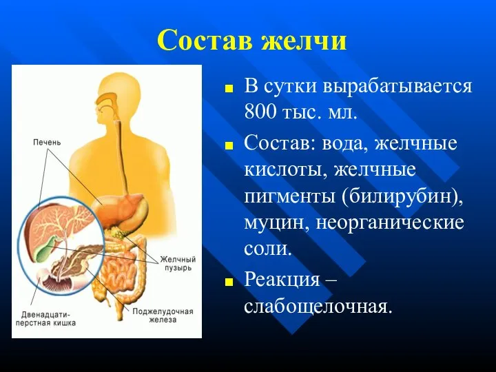 Состав желчи В сутки вырабатывается 800 тыс. мл. Состав: вода, желчные