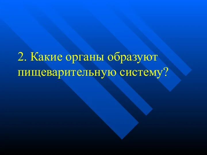 2. Какие органы образуют пищеварительную систему?