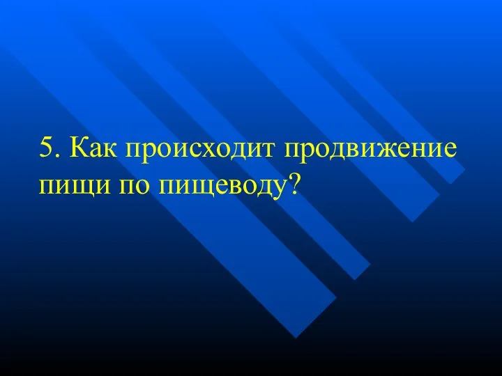 5. Как происходит продвижение пищи по пищеводу?