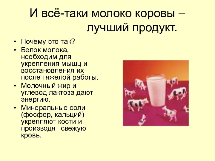 И всё-таки молоко коровы – лучший продукт. Почему это так? Белок