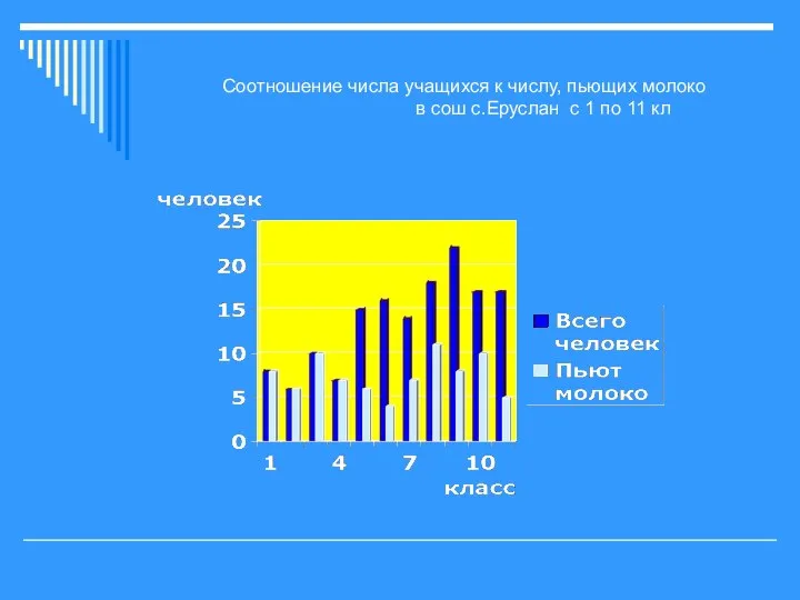 Соотношение числа учащихся к числу, пьющих молоко в сош с.Еруслан с 1 по 11 кл