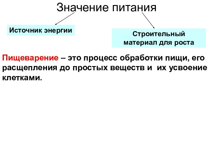 Значение питания Пищеварение – это процесс обработки пищи, его расщепления до