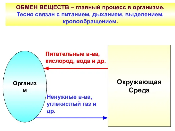 Организм Окружающая Среда Питательные в-ва, кислород, вода и др. Ненужные в-ва,