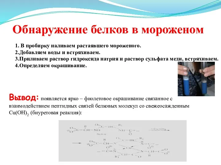 Обнаружение белков в мороженом 1. В пробирку наливаем растаявшего мороженого. 2.Добавляем