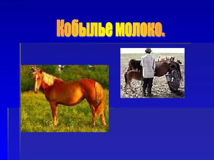 Кобылье молоко.