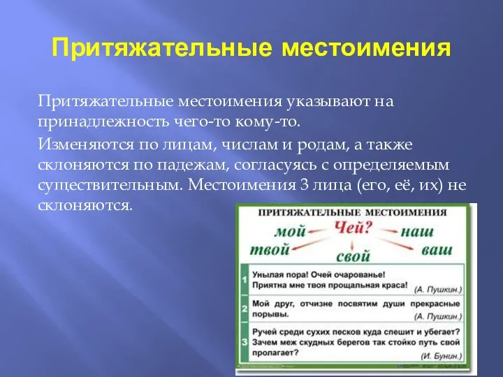 Притяжательные местоимения Притяжательные местоимения указывают на принадлежность чего-то кому-то. Изменяются по