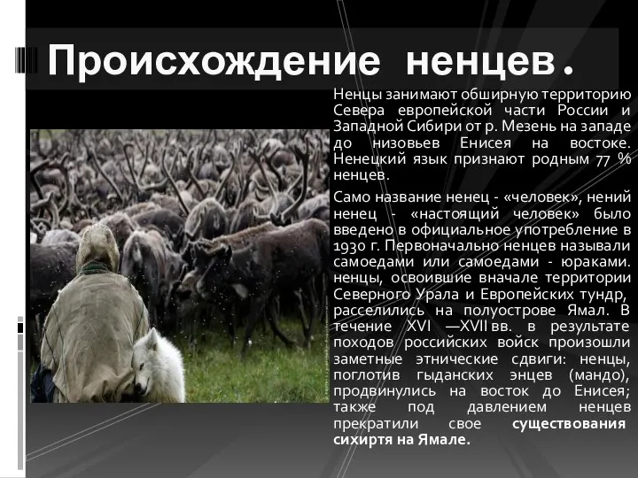 Ненцы занимают обширную территорию Севера европейской части России и Западной Сибири