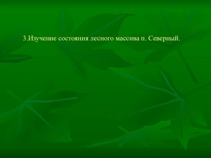 3.Изучение состояния лесного массива п. Северный.