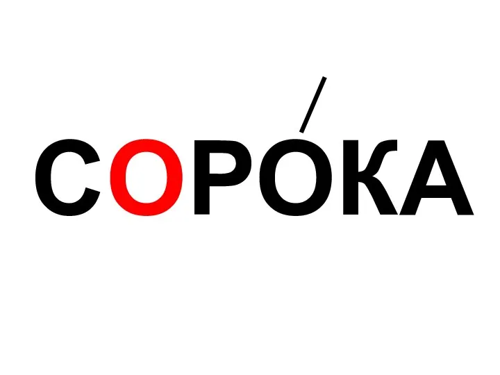 СОРОКА