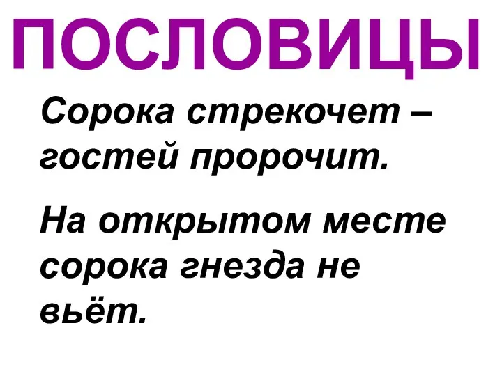 ПОСЛОВИЦЫ Сорока стрекочет – гостей пророчит. На открытом месте сорока гнезда не вьёт.