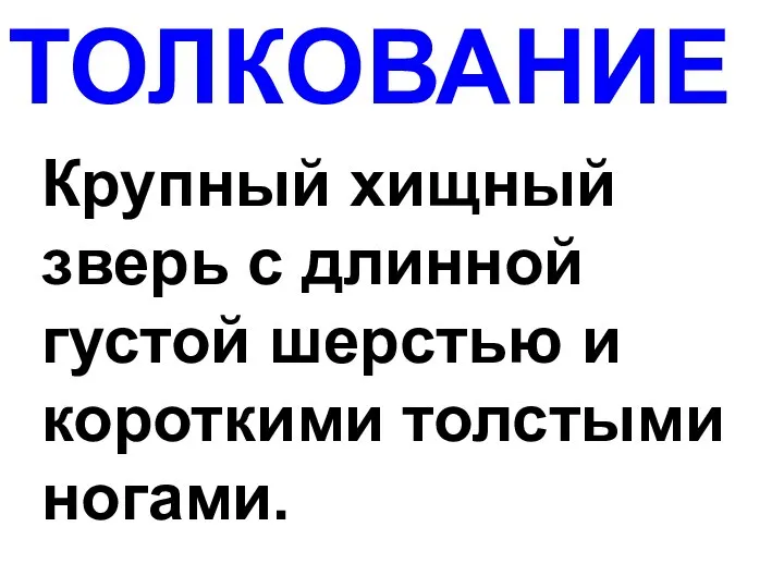 ТОЛКОВАНИЕ Крупный хищный зверь с длинной густой шерстью и короткими толстыми ногами.