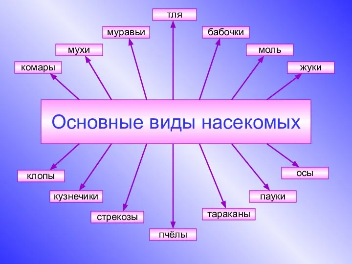 Основные виды насекомых бабочки клопы жуки комары кузнечики моль мухи муравьи