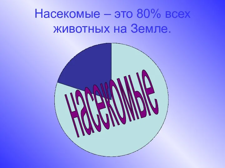 Насекомые – это 80% всех животных на Земле. насекомые