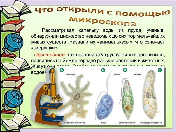 Рассматривая капельку воды из пруда, ученые обнаружили множество неведомых до сих