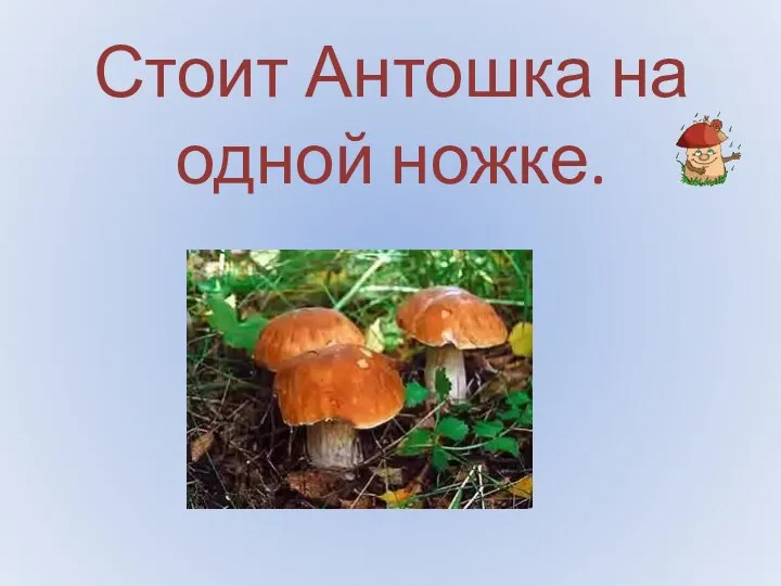 Стоит Антошка на одной ножке.