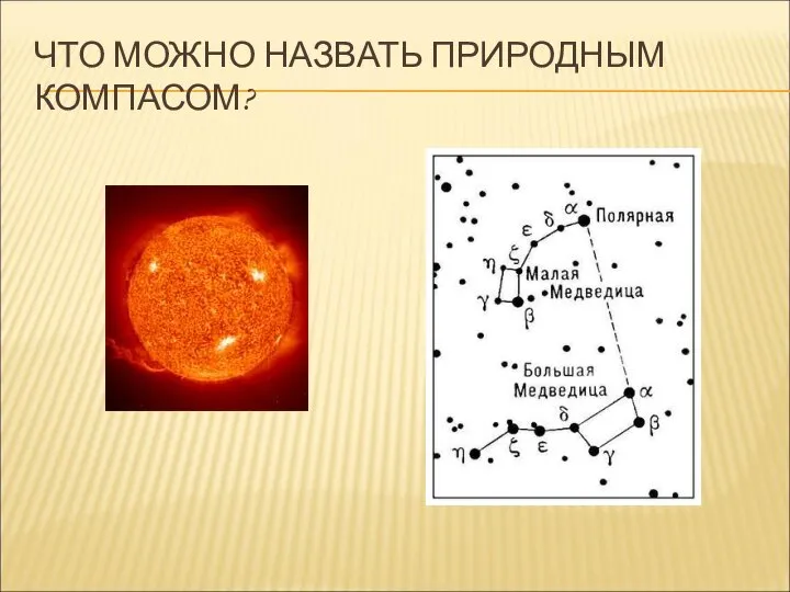 ЧТО МОЖНО НАЗВАТЬ ПРИРОДНЫМ КОМПАСОМ?