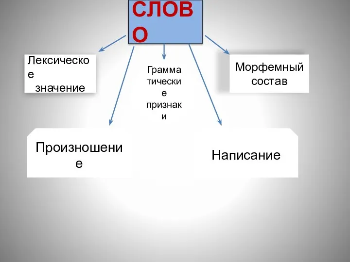 СЛОВО Лексическое значение Грамма тические признаки Морфемный состав Произношение Написание