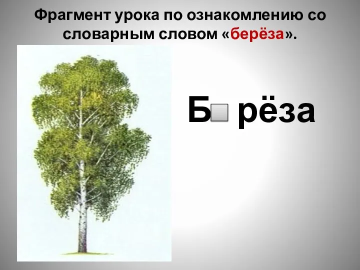 Фрагмент урока по ознакомлению со словарным словом «берёза». Б рёза