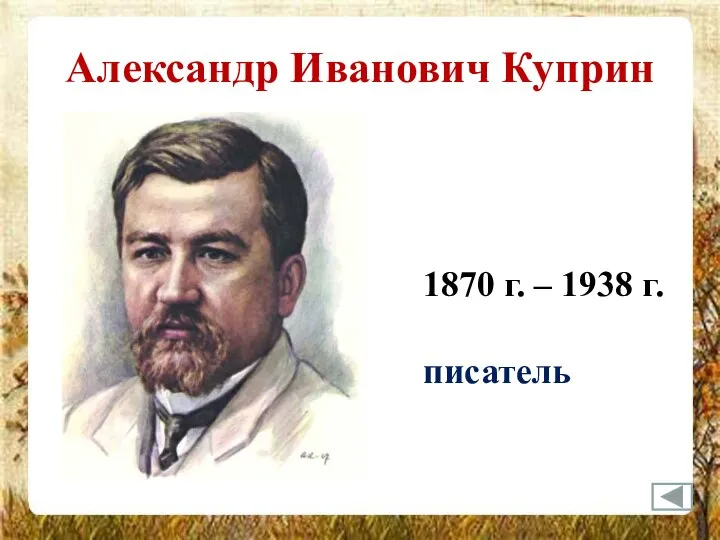 Александр Иванович Куприн 1870 г. – 1938 г. писатель