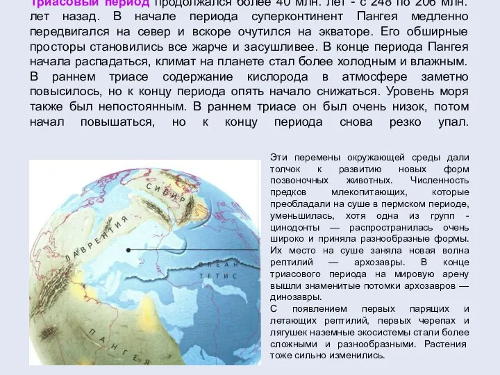 Триасовый период продолжался более 40 млн. лет - с 248 по