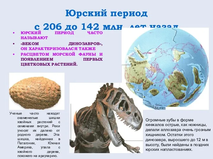 Юрский период с 206 до 142 млн. лет назад ЮРСКИЙ ПЕРИОД