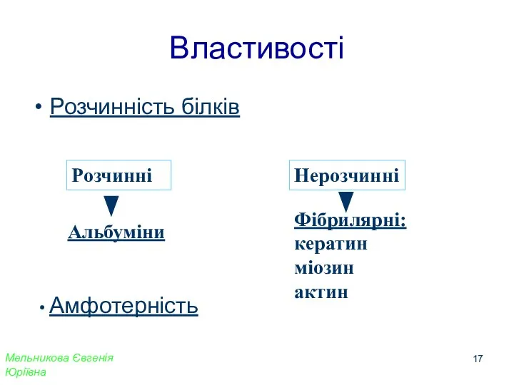 Властивості Розчинність білків Розчинні Нерозчинні Фібрилярні: кератин міозин актин Альбуміни Амфотерність Мельникова Євгенія Юріївна