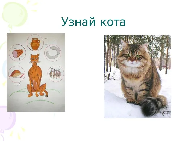 Узнай кота