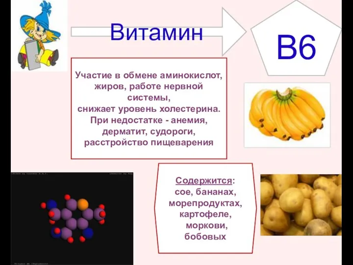 Витамин Участие в обмене аминокислот, жиров, работе нервной системы, снижает уровень