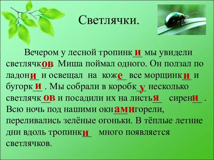 Светлячки. Вечером у лесной тропинк__ мы увидели светлячк__. Миша поймал одного.