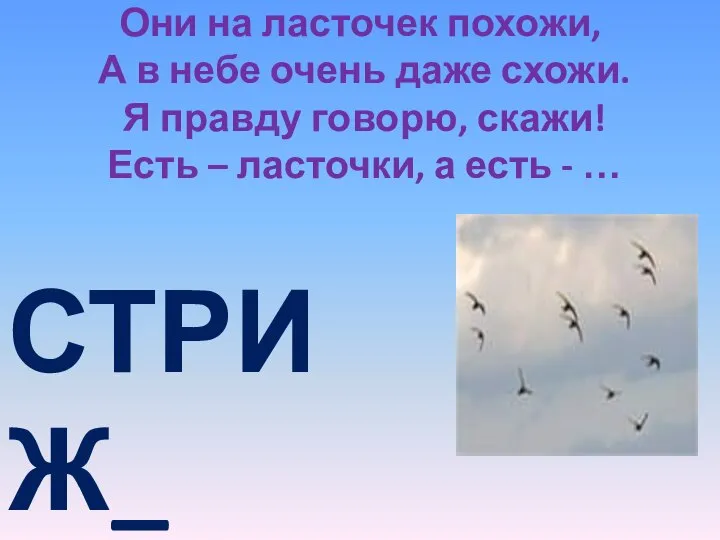 Они на ласточек похожи, А в небе очень даже схожи. Я