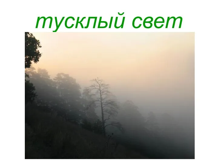 тусклый свет