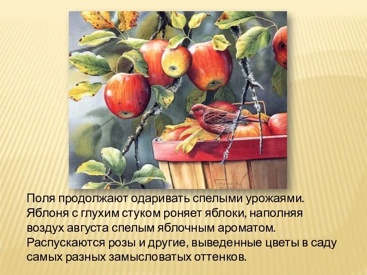 Поля продолжают одаривать спелыми урожаями. Яблоня с глухим стуком роняет яблоки,