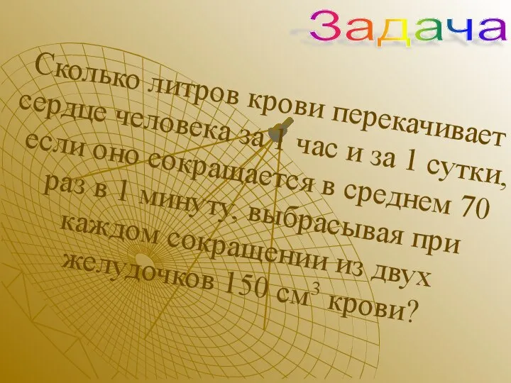 Сколько литров крови перекачивает сердце человека за 1 час и за